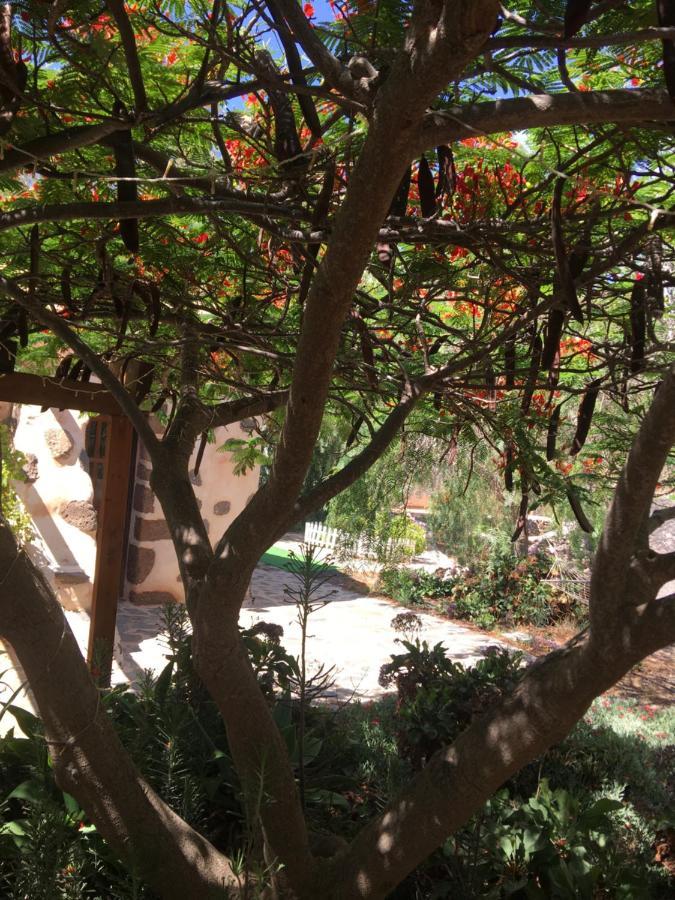 Vereda De Las Camellas Hotell Puerto del Rosario  Exteriör bild