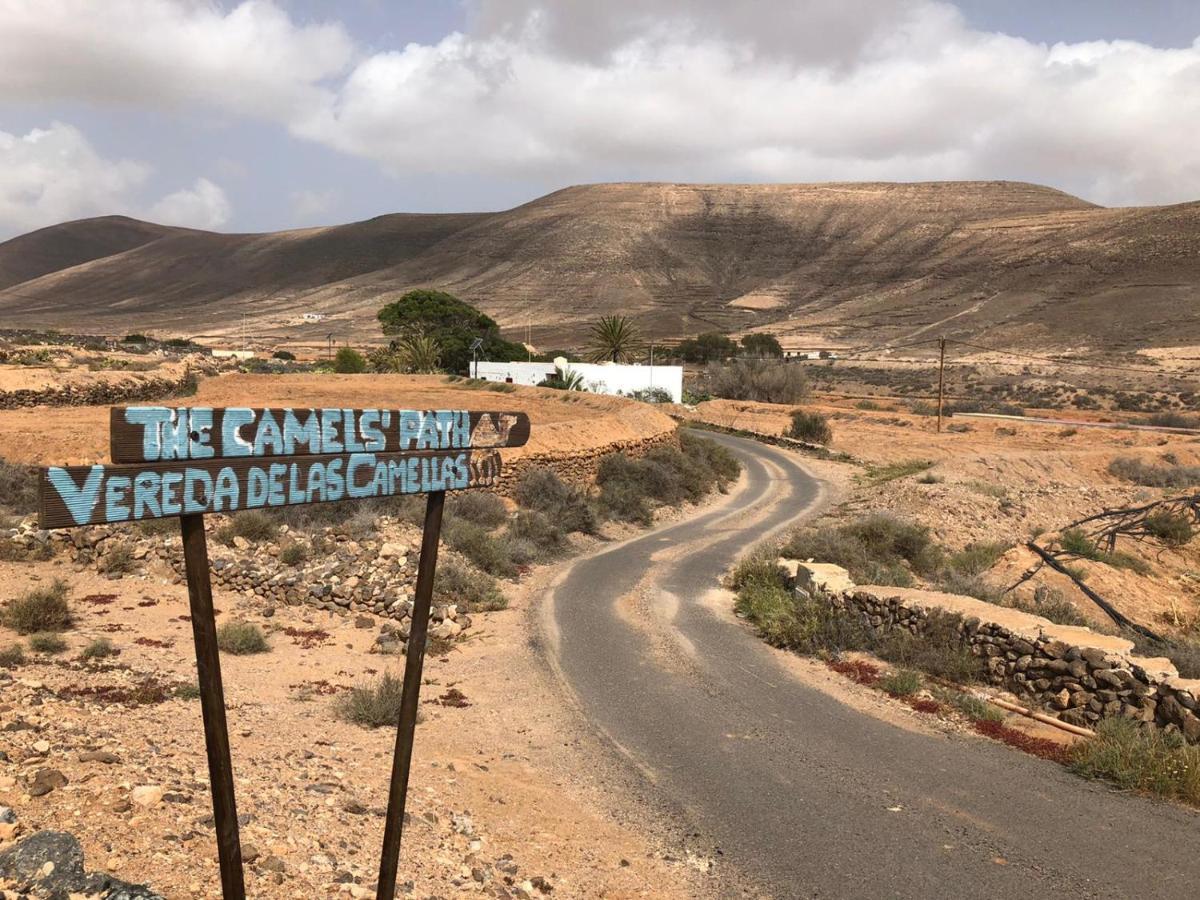 Vereda De Las Camellas Hotell Puerto del Rosario  Exteriör bild