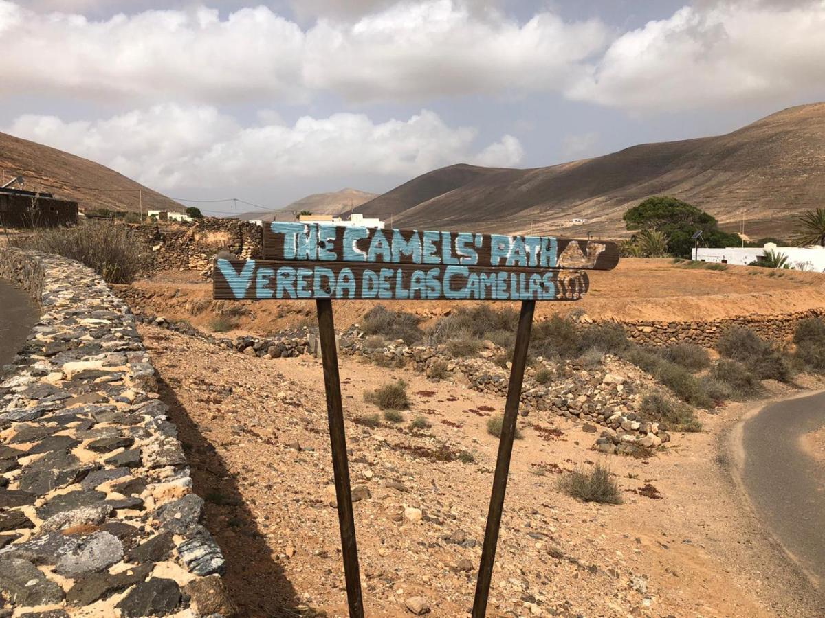 Vereda De Las Camellas Hotell Puerto del Rosario  Exteriör bild